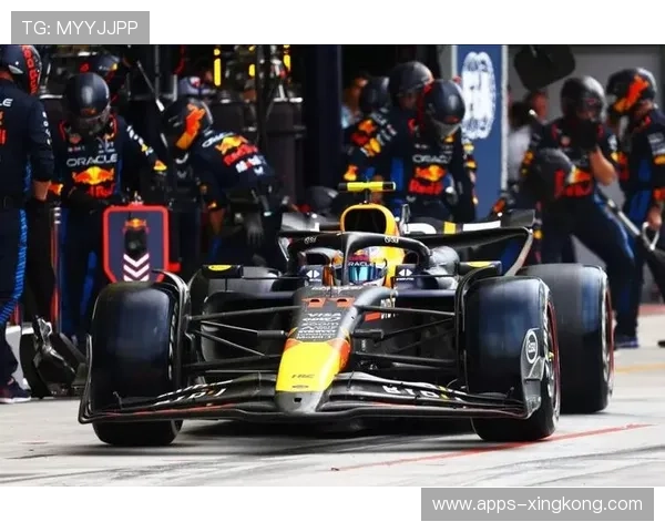 F1车队协作模式带来速度与稳定兼备