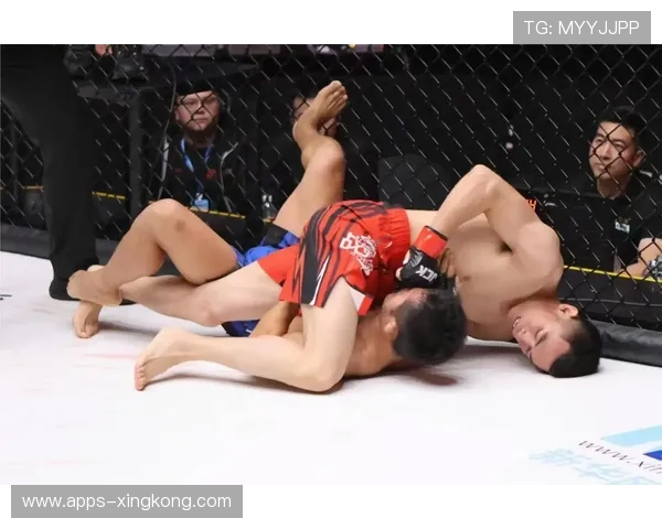 MMA全面而平衡的选手将主宰未来赛场 MMA全面而平衡的选手将主宰未来赛场